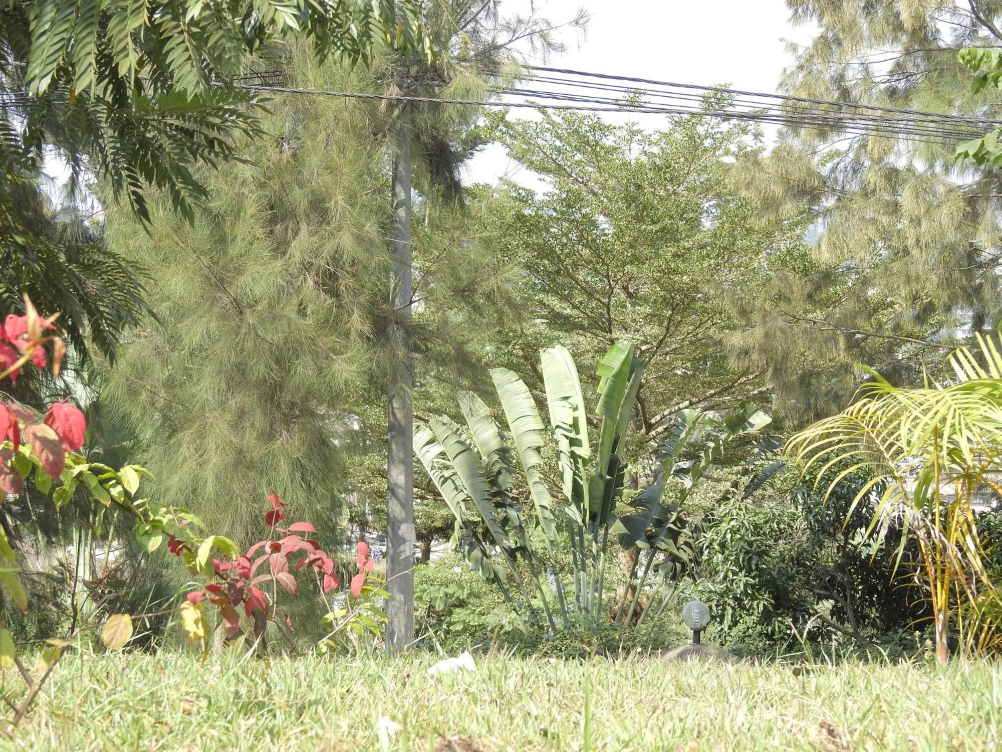 Rwandeka Apartment คิกาลี ภายนอก รูปภาพ